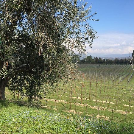 Tenuta La Ca Bardolino Luaran gambar