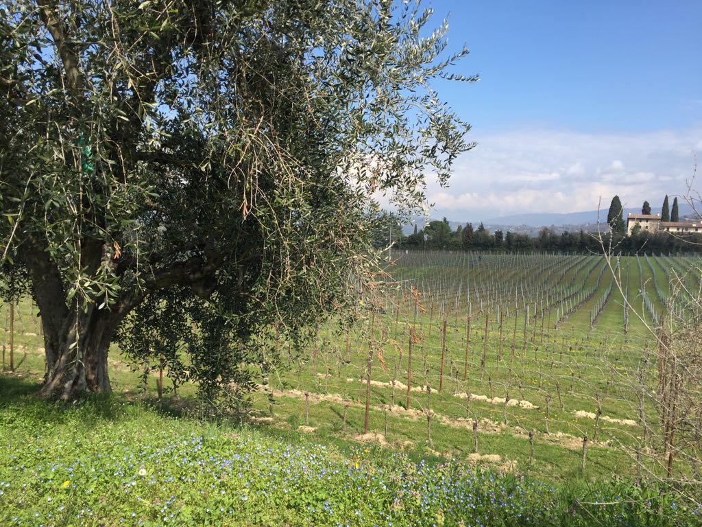 Tenuta La Ca Bardolino Luaran gambar